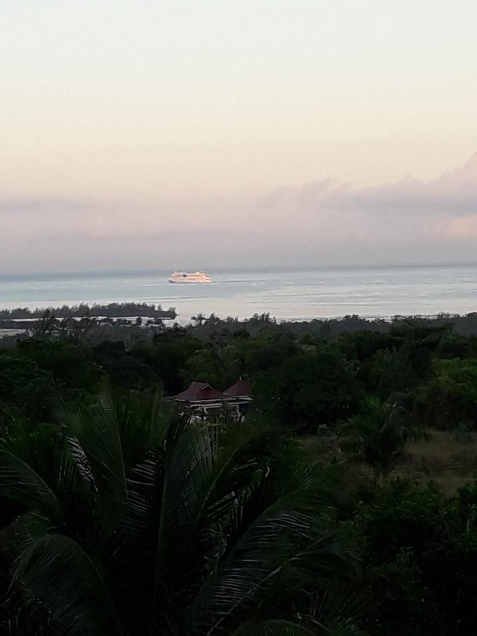 Rose View Apartment Montego Bay Exterior foto